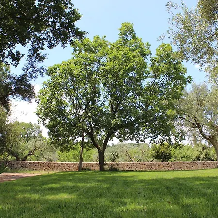Trulli Gemma