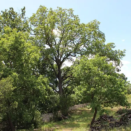 Trulli Gemma Feriehus