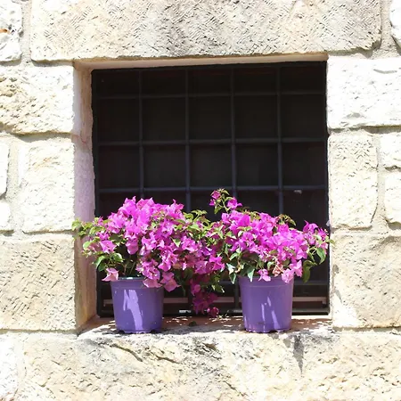 Trulli Gemma Antonelli